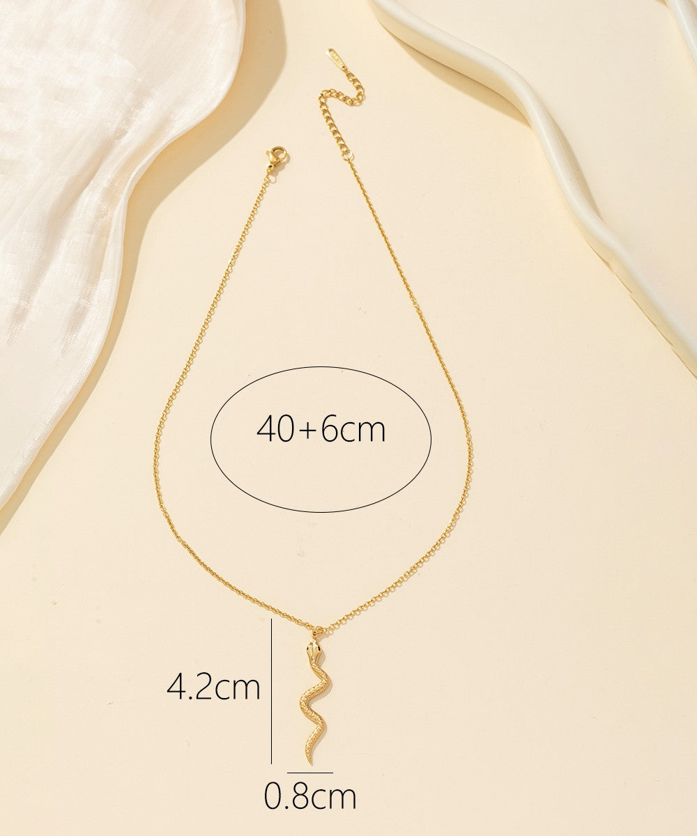 Collier Acier 24CCA032d