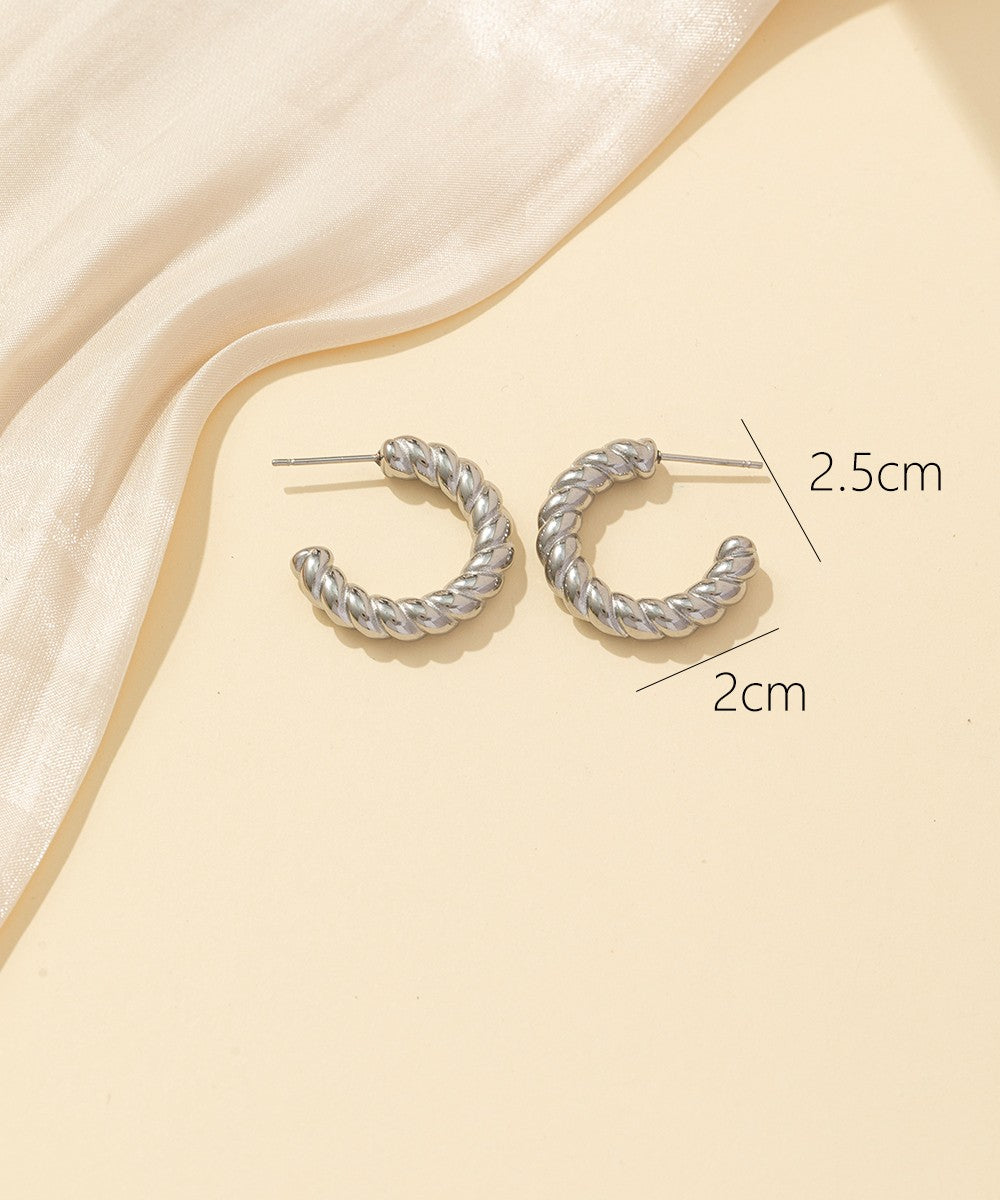 Boucles d'oreilles Clou Acier 24BOA040a
