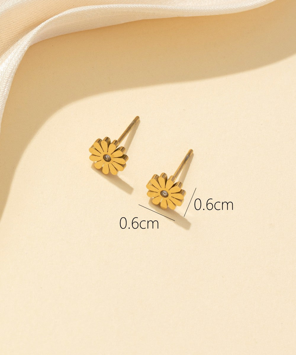 Boucles d'oreilles Clou Acier 24BOA044d