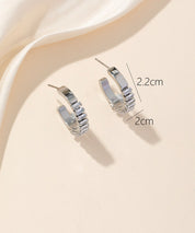 Boucles d'oreilles Clou Acier 24BOA057