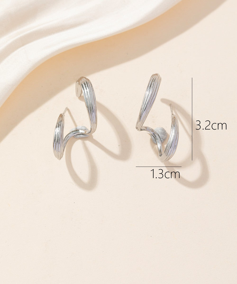 Boucles d'oreilles Clou Acier 24BOA062