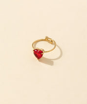 Bague réglable Acier inoxydable  24BGA023
