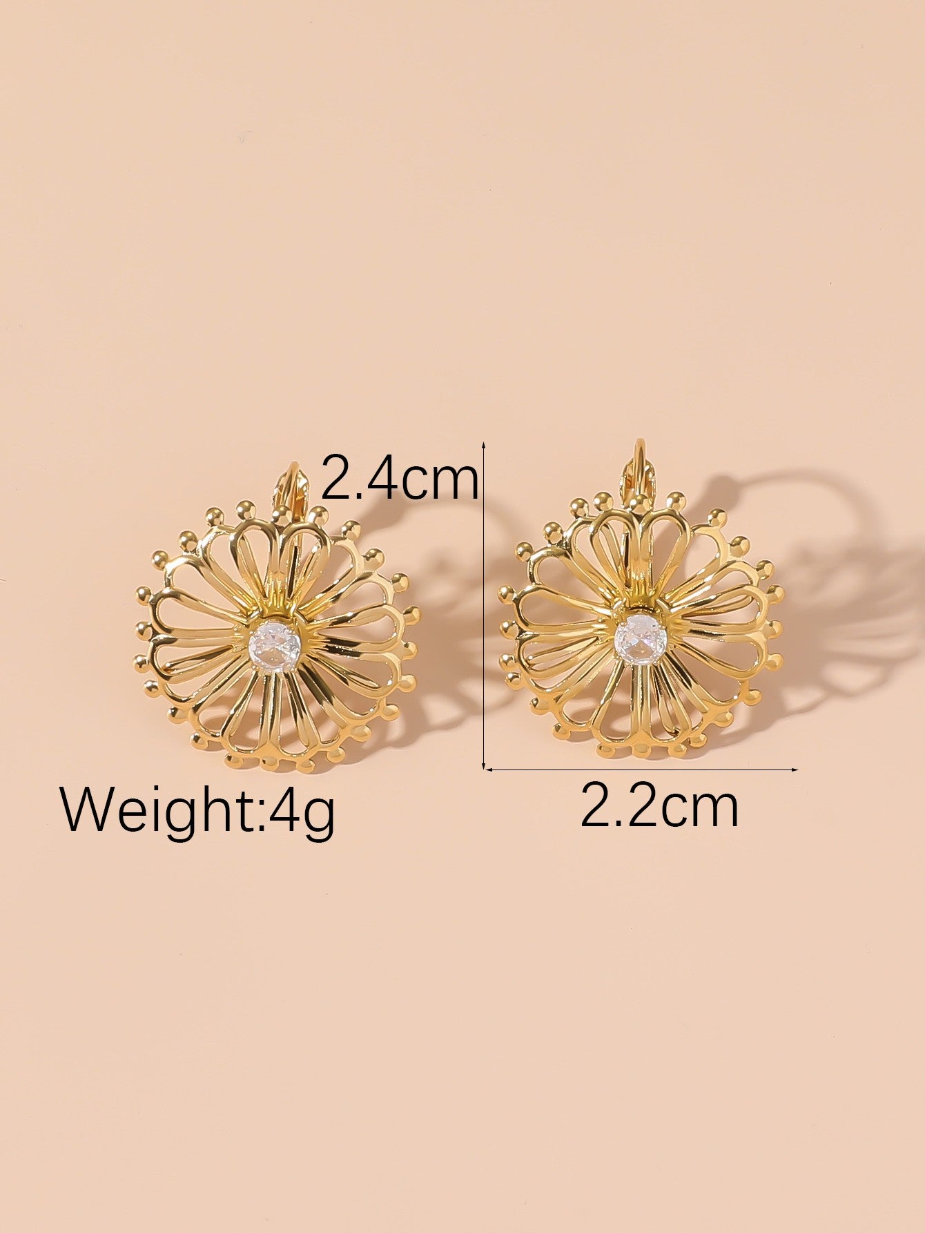 Boucles d'Oreilles Dormeuse en Acier Inoxydable 24BOA104