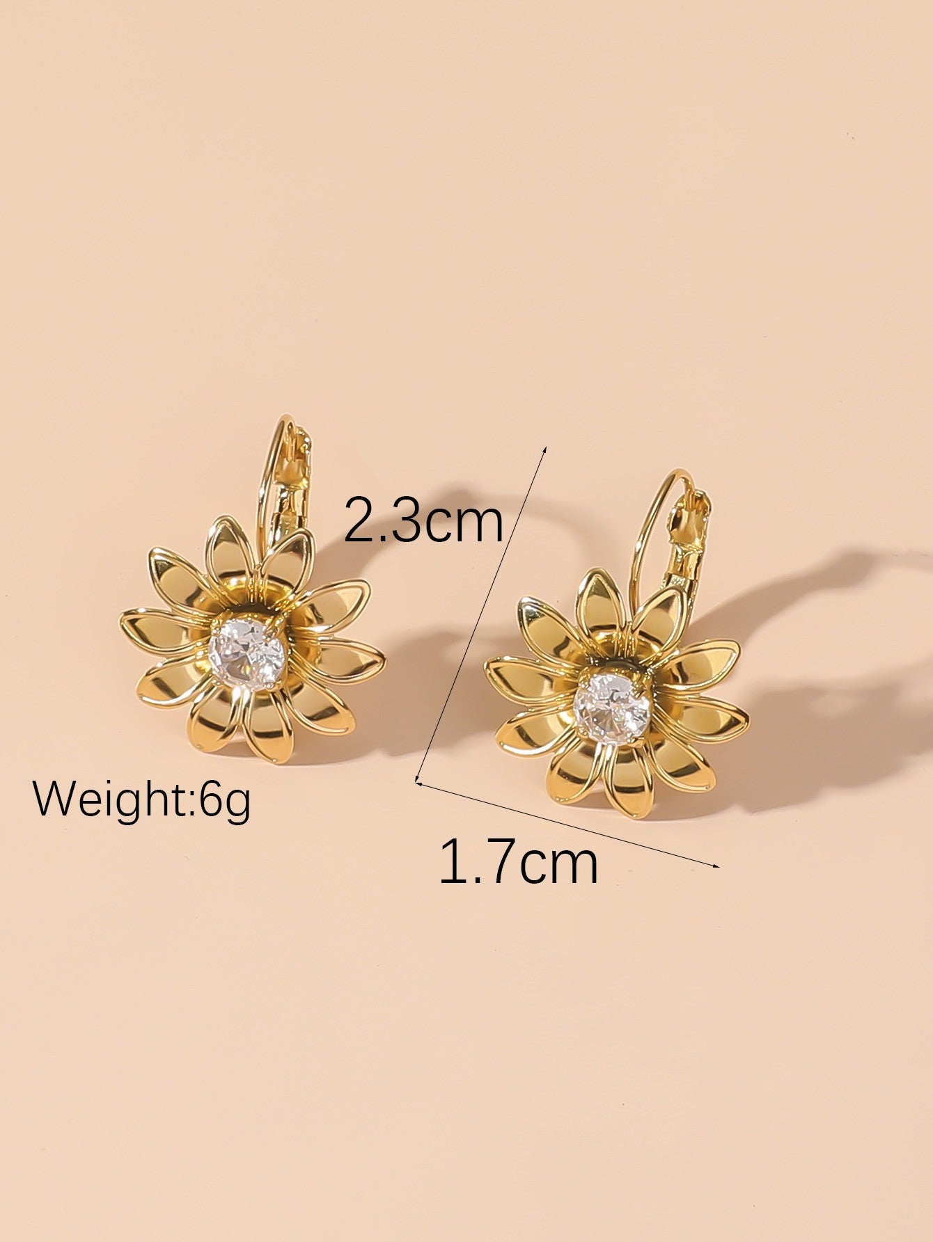 Boucles d'Oreilles Dormeuse en Acier Inoxydable 24BOA105