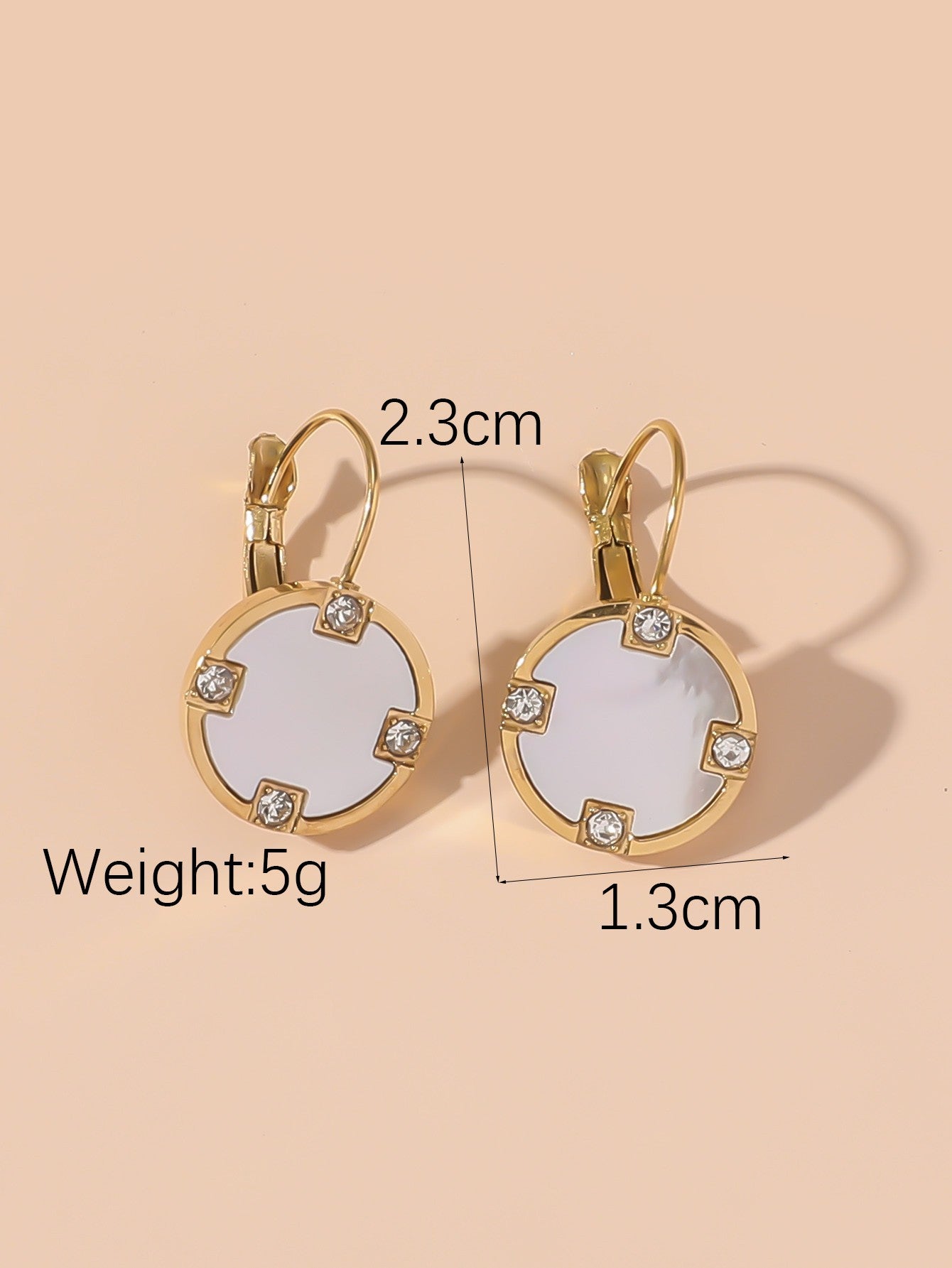 Boucles d'Oreilles Dormeuse en Acier Inoxydable 24BOA117