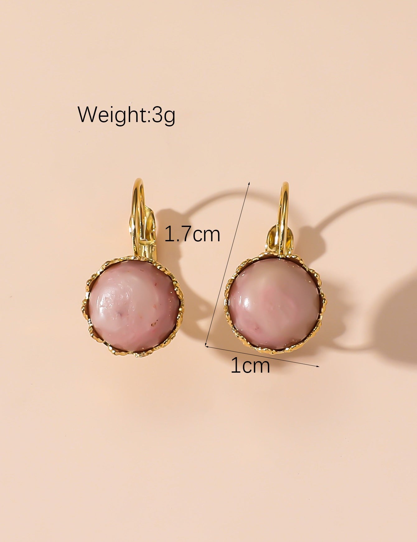 Boucles d'Oreilles Dormeuse en Acier Inoxydable 24BOA122