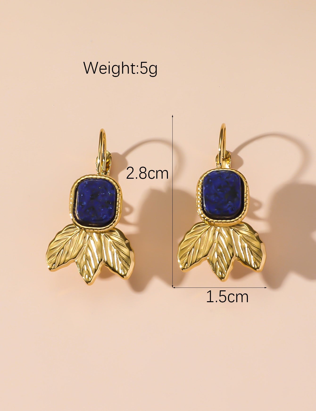 Boucles d'Oreilles Dormeuse en Acier Inoxydable 24BOA123