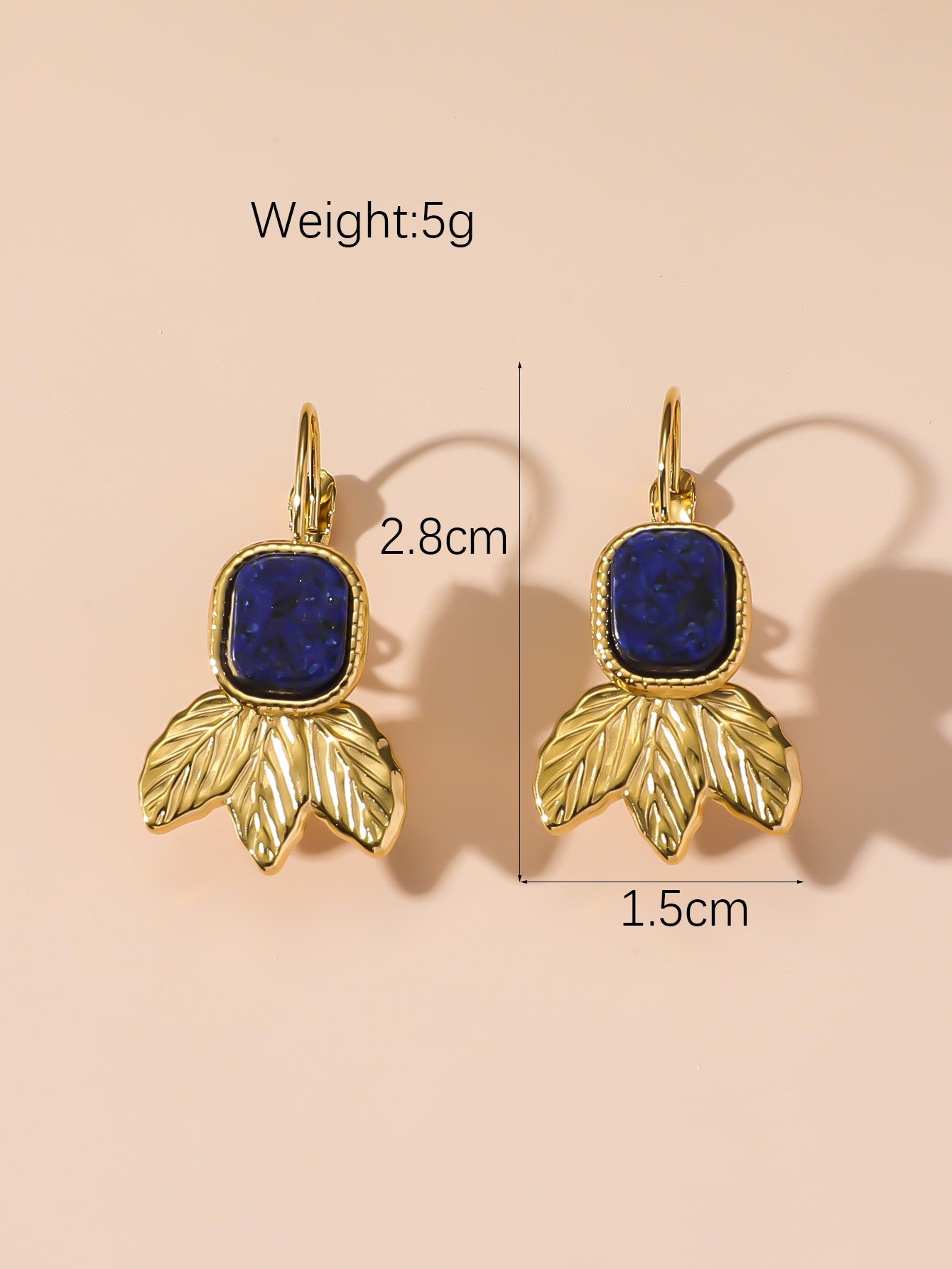 Boucles d'Oreilles Dormeuse en Acier Inoxydable 24BOA123