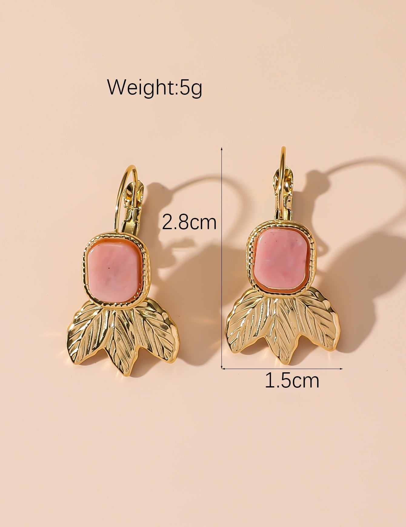 Boucles d'Oreilles Dormeuse en Acier Inoxydable 24BOA123