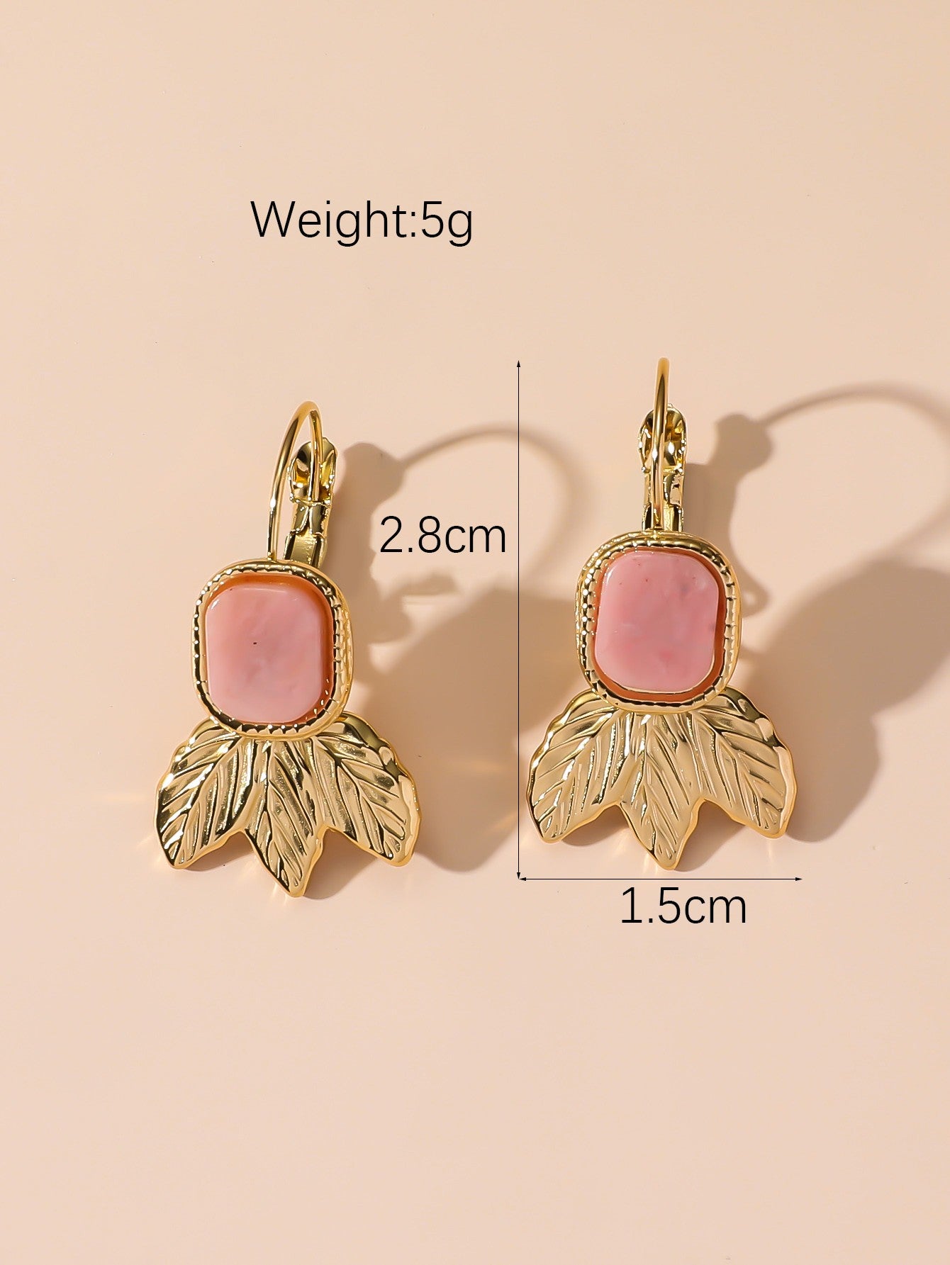 Boucles d'Oreilles Dormeuse en Acier Inoxydable 24BOA123