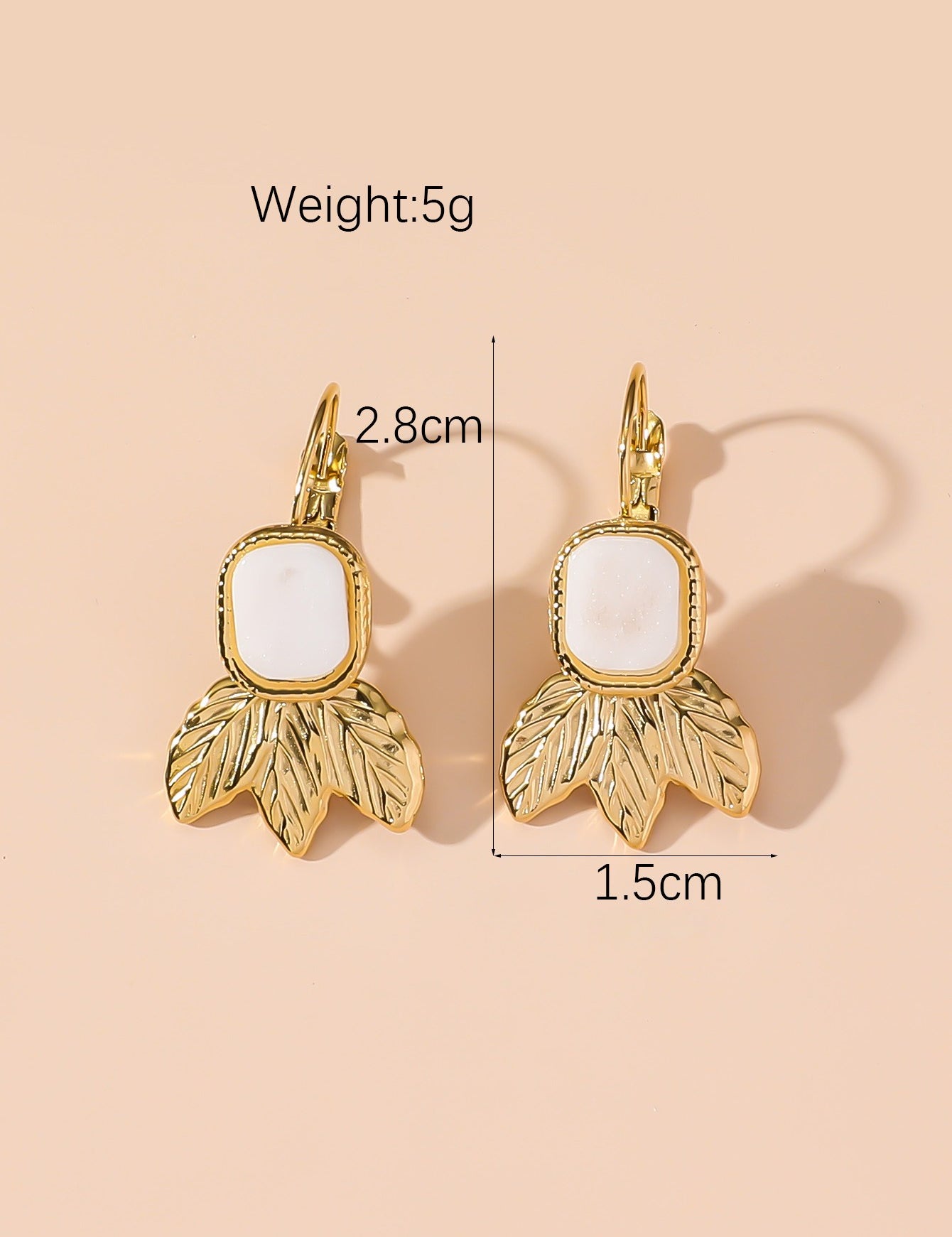 Boucles d'Oreilles Dormeuse en Acier Inoxydable 24BOA123