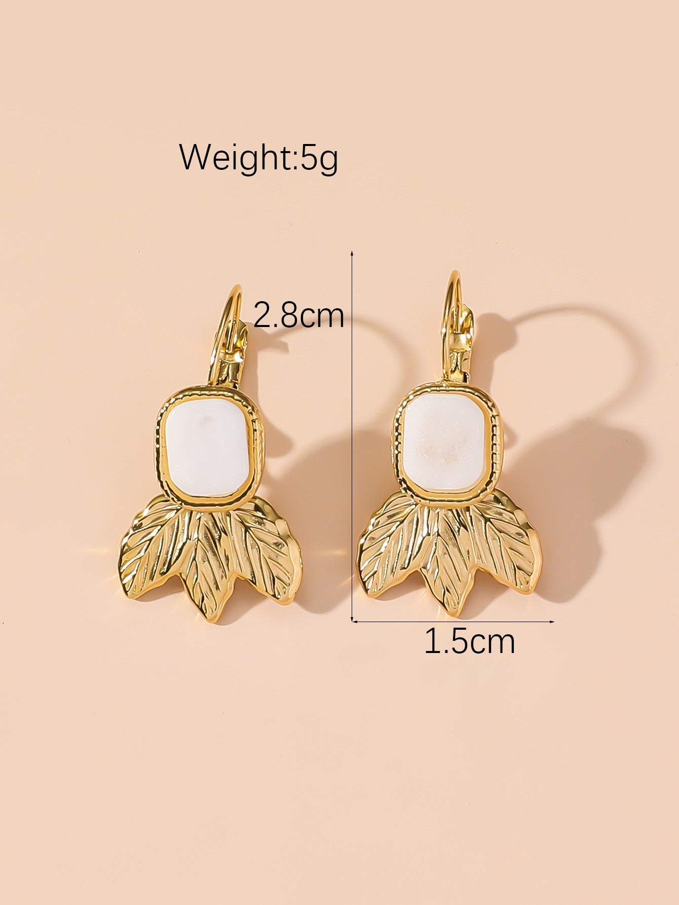 Boucles d'Oreilles Dormeuse en Acier Inoxydable 24BOA123