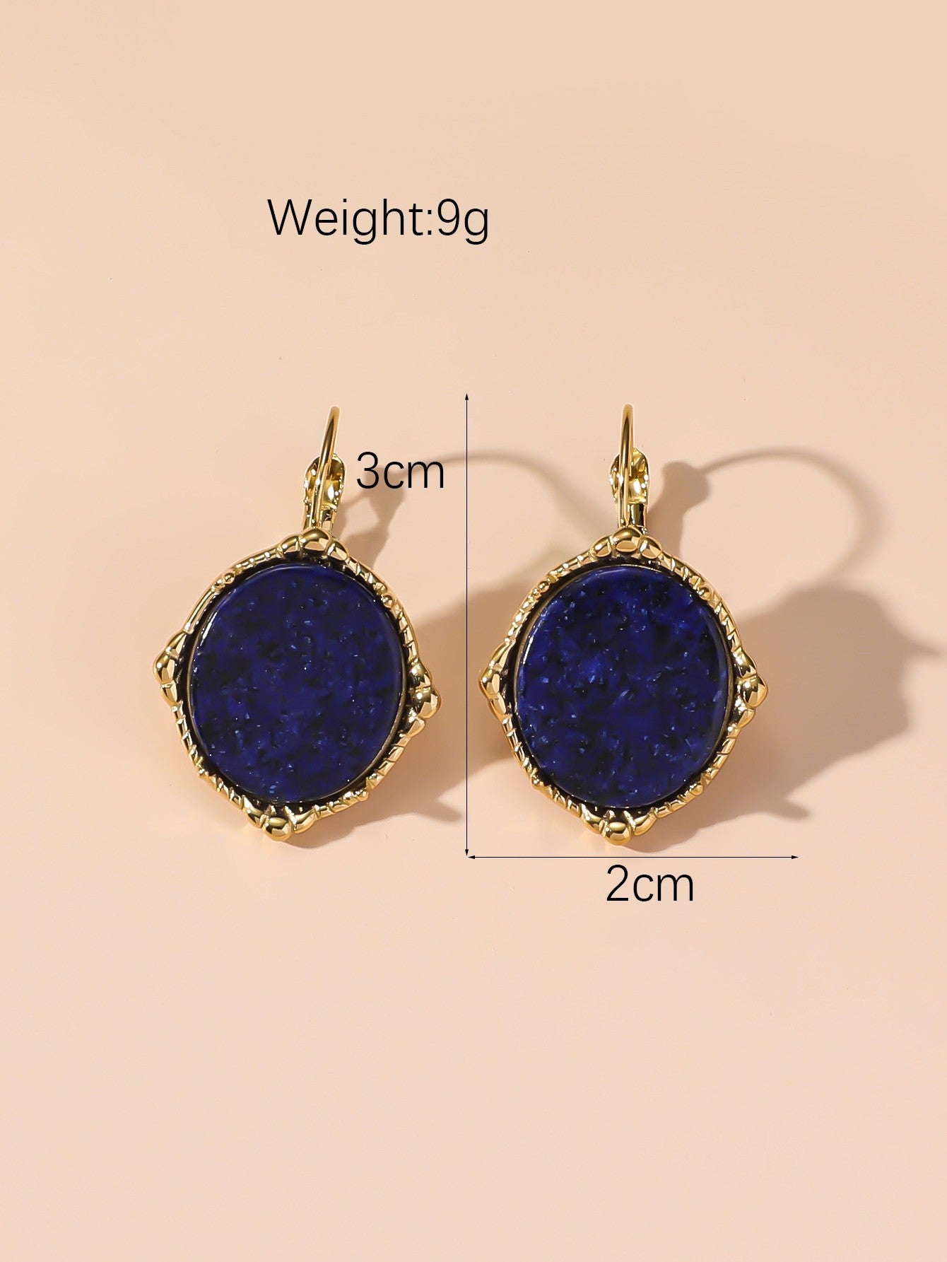 Boucles d'Oreilles Dormeuse en Acier Inoxydable 24BOA124