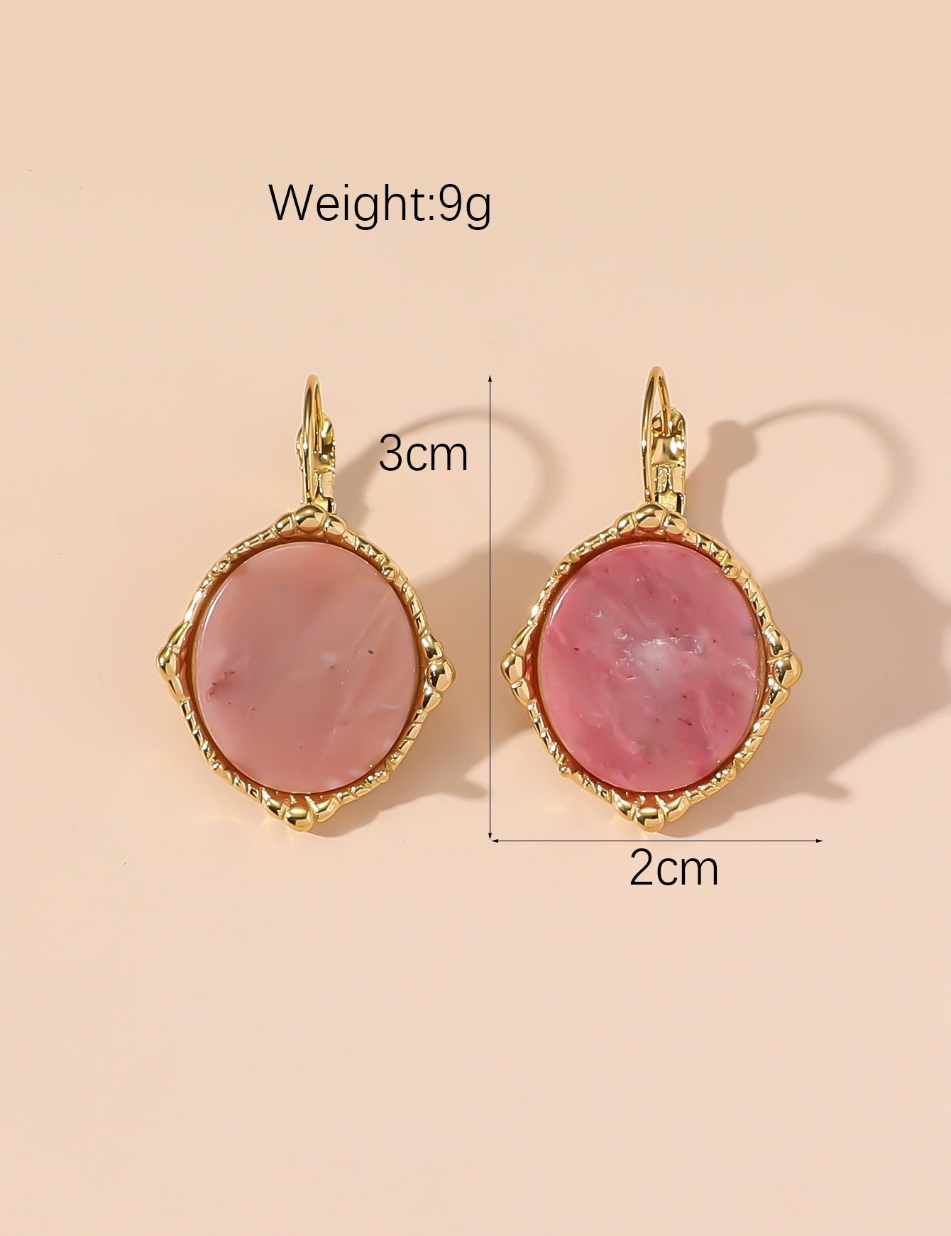 Boucles d'Oreilles Dormeuse en Acier Inoxydable 24BOA124
