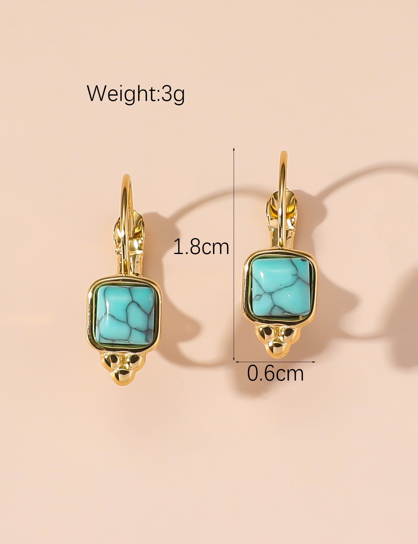 Boucles d'Oreilles Dormeuse en Acier Inoxydable 24BOA125