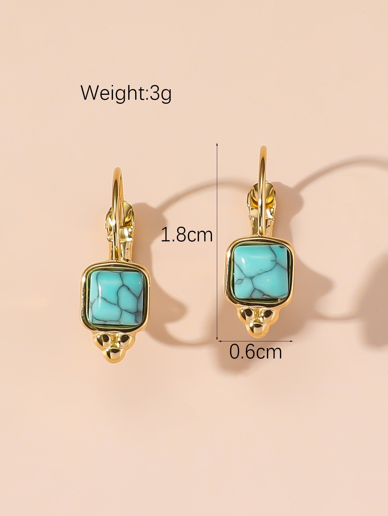 Boucles d'Oreilles Dormeuse en Acier Inoxydable 24BOA125