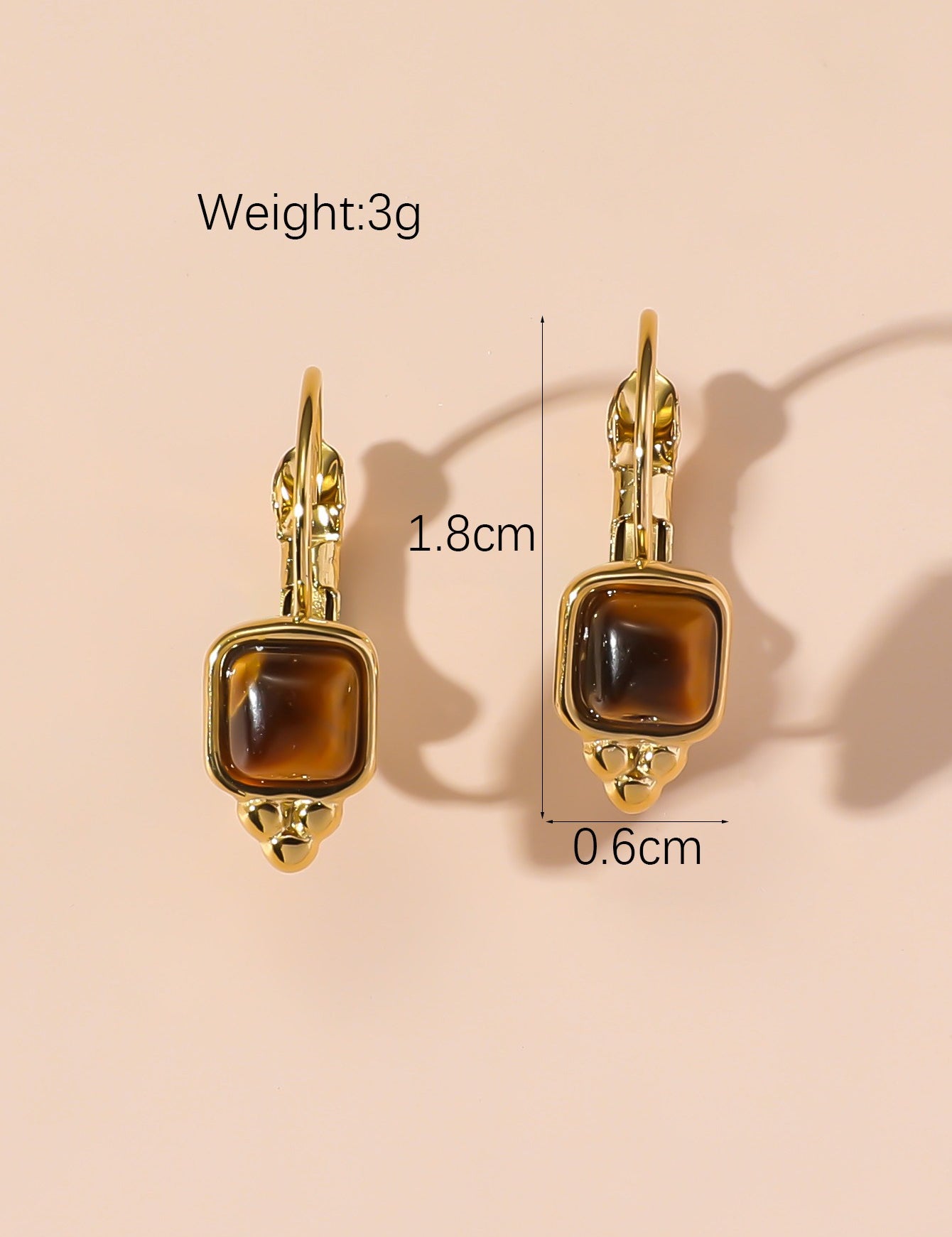 Boucles d'Oreilles Dormeuse en Acier Inoxydable 24BOA125