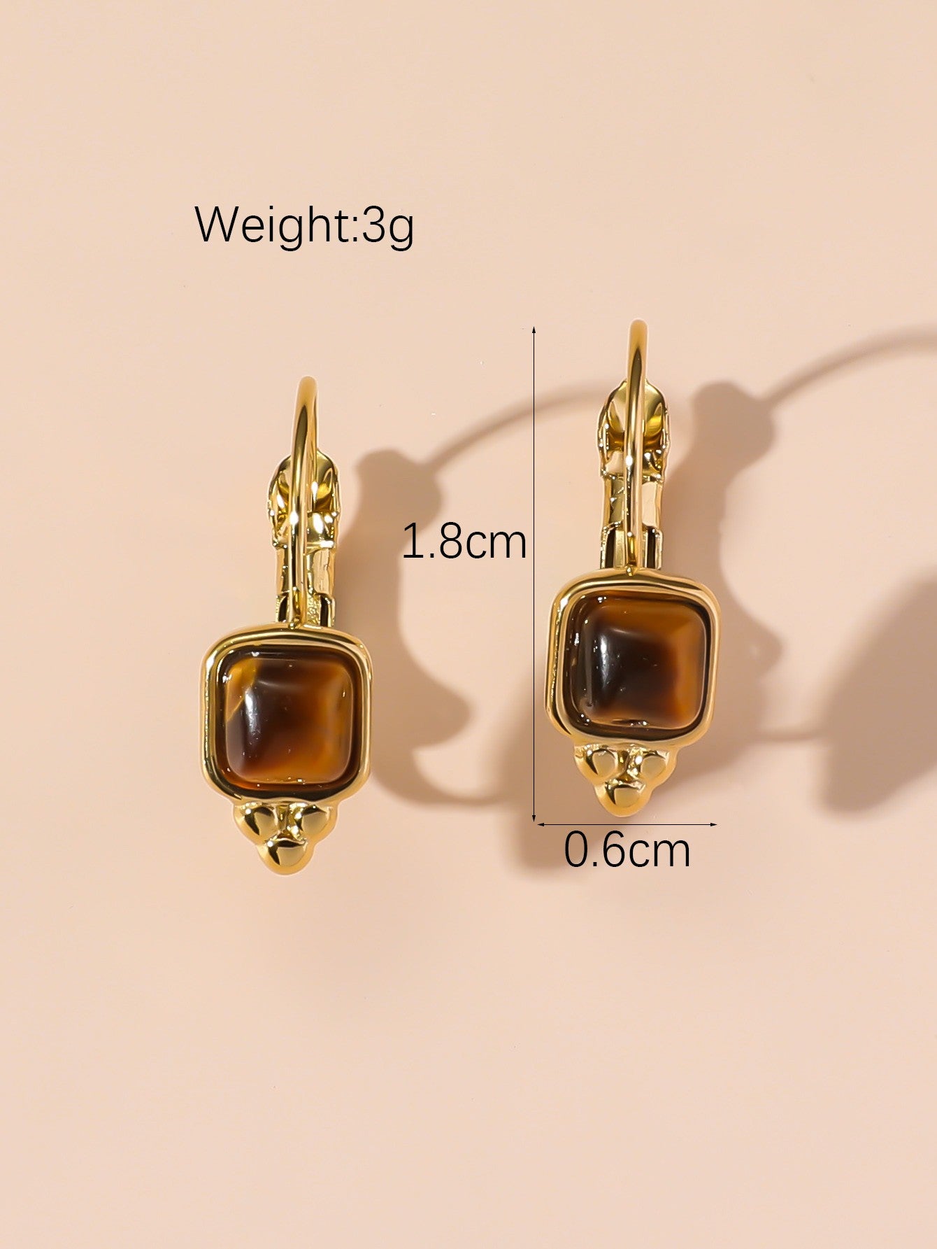 Boucles d'Oreilles Dormeuse en Acier Inoxydable 24BOA125