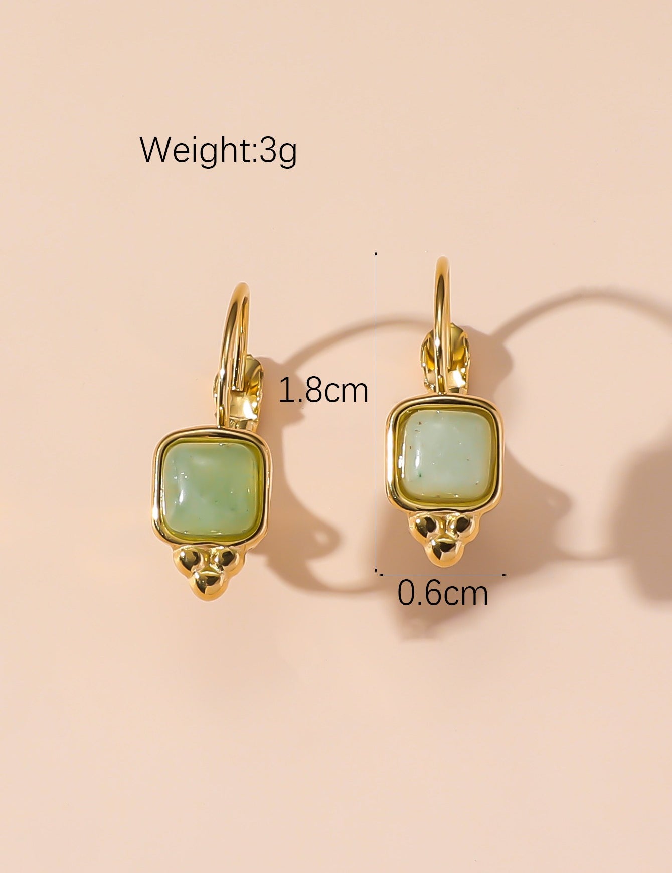 Boucles d'Oreilles Dormeuse en Acier Inoxydable 24BOA125