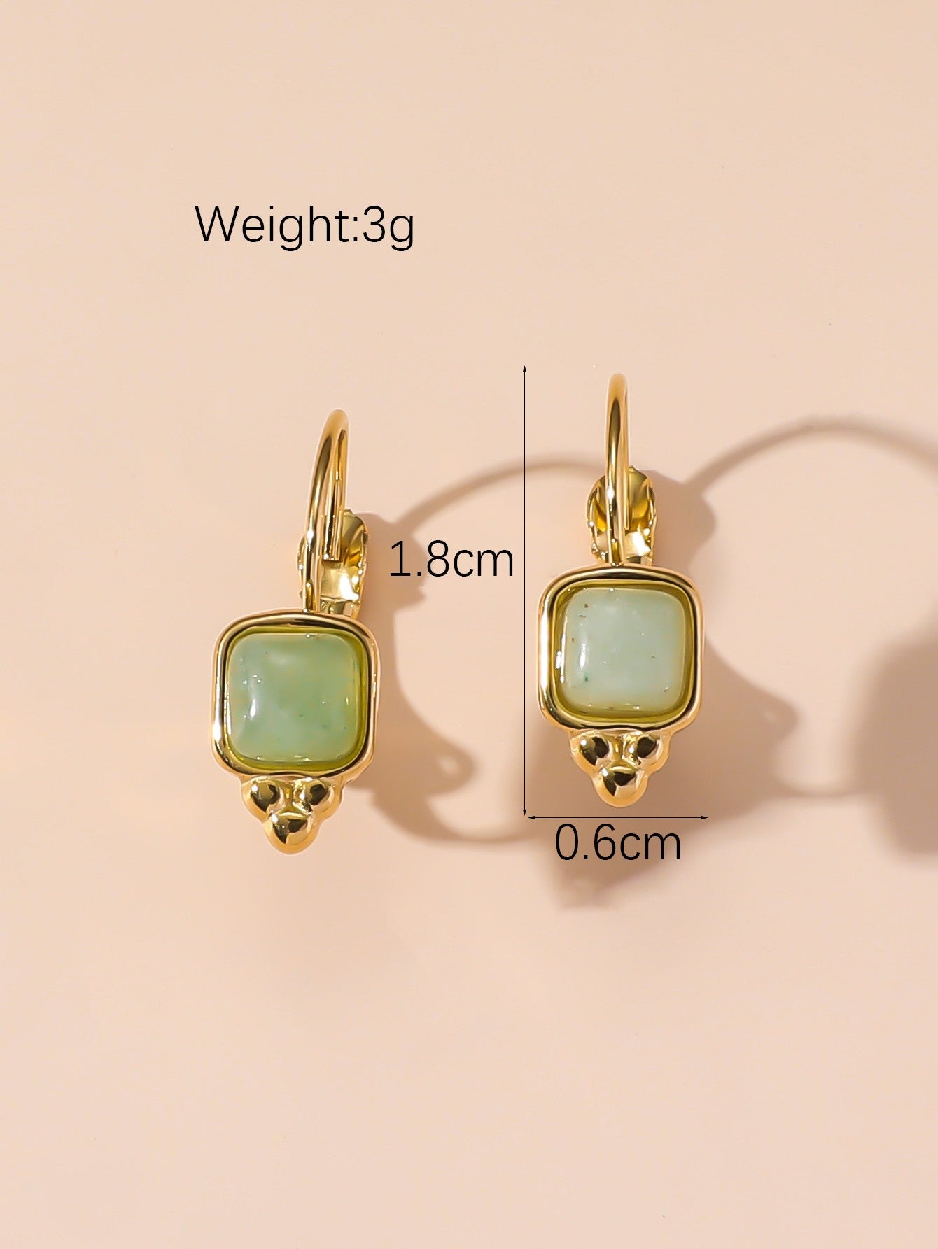 Boucles d'Oreilles Dormeuse en Acier Inoxydable 24BOA125