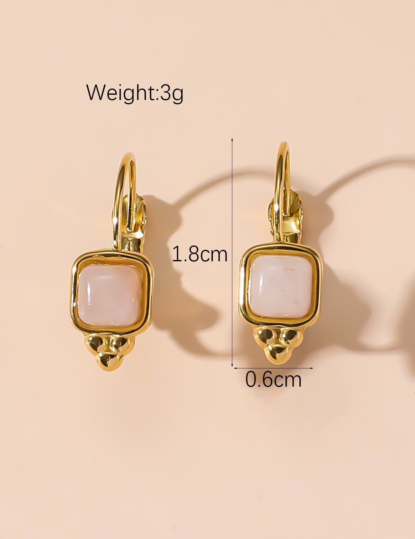 Boucles d'Oreilles Dormeuse en Acier Inoxydable 24BOA125