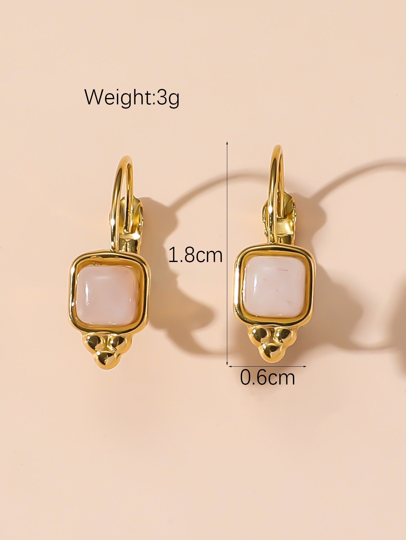 Boucles d'Oreilles Dormeuse en Acier Inoxydable 24BOA125