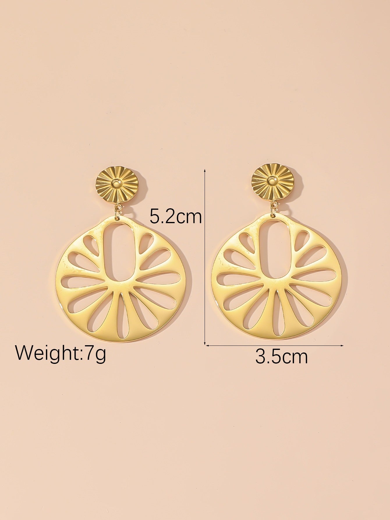 Boucles d'Oreilles à Clou en Acier Inoxydable 24BOA106