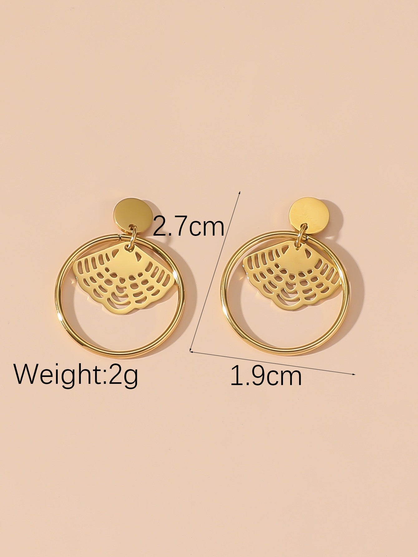 Boucles d'Oreilles à Clou en Acier Inoxydable 24BOA114
