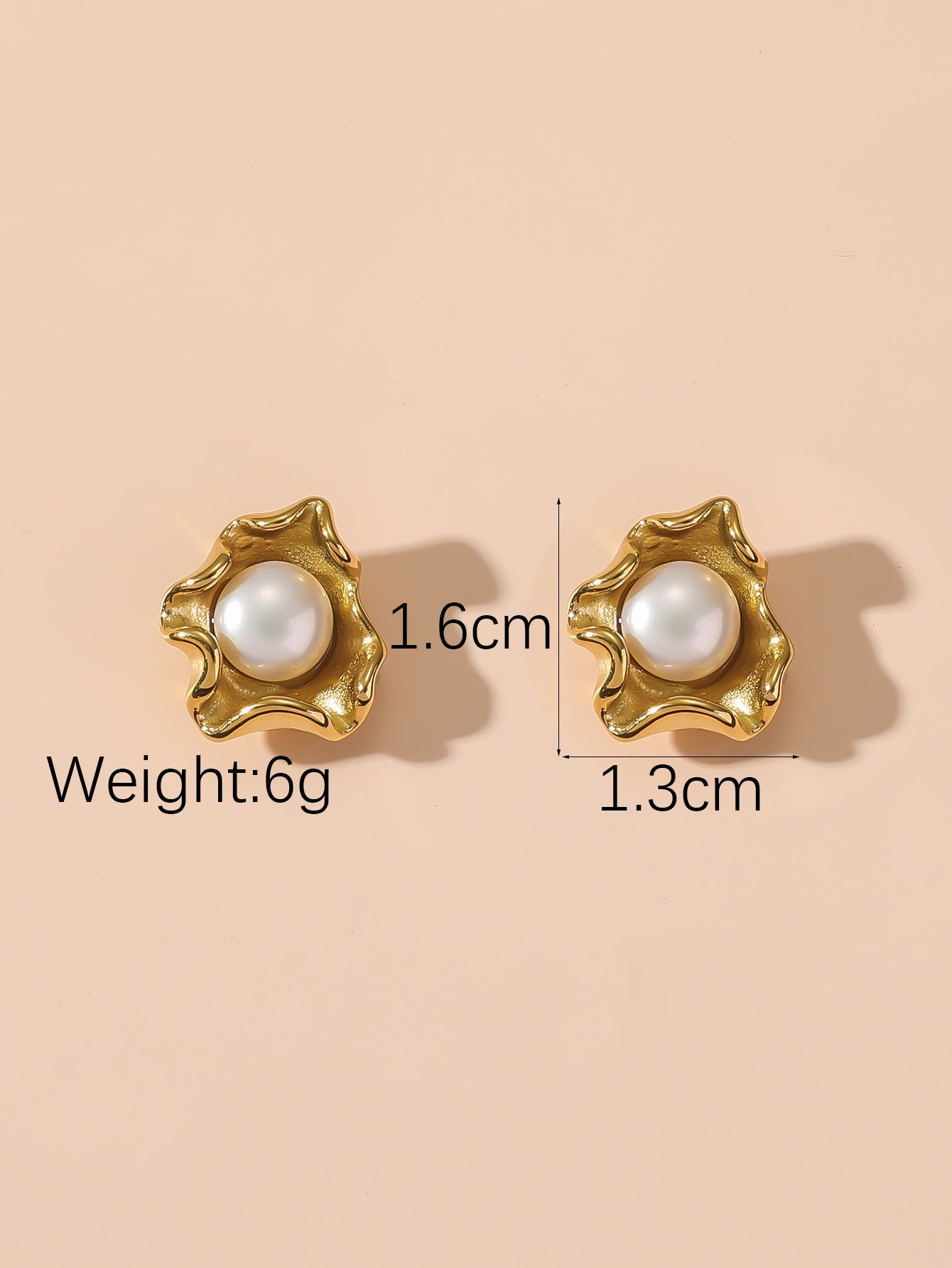 Boucles d'Oreilles à Clou en Acier Inoxydable 24BOA119