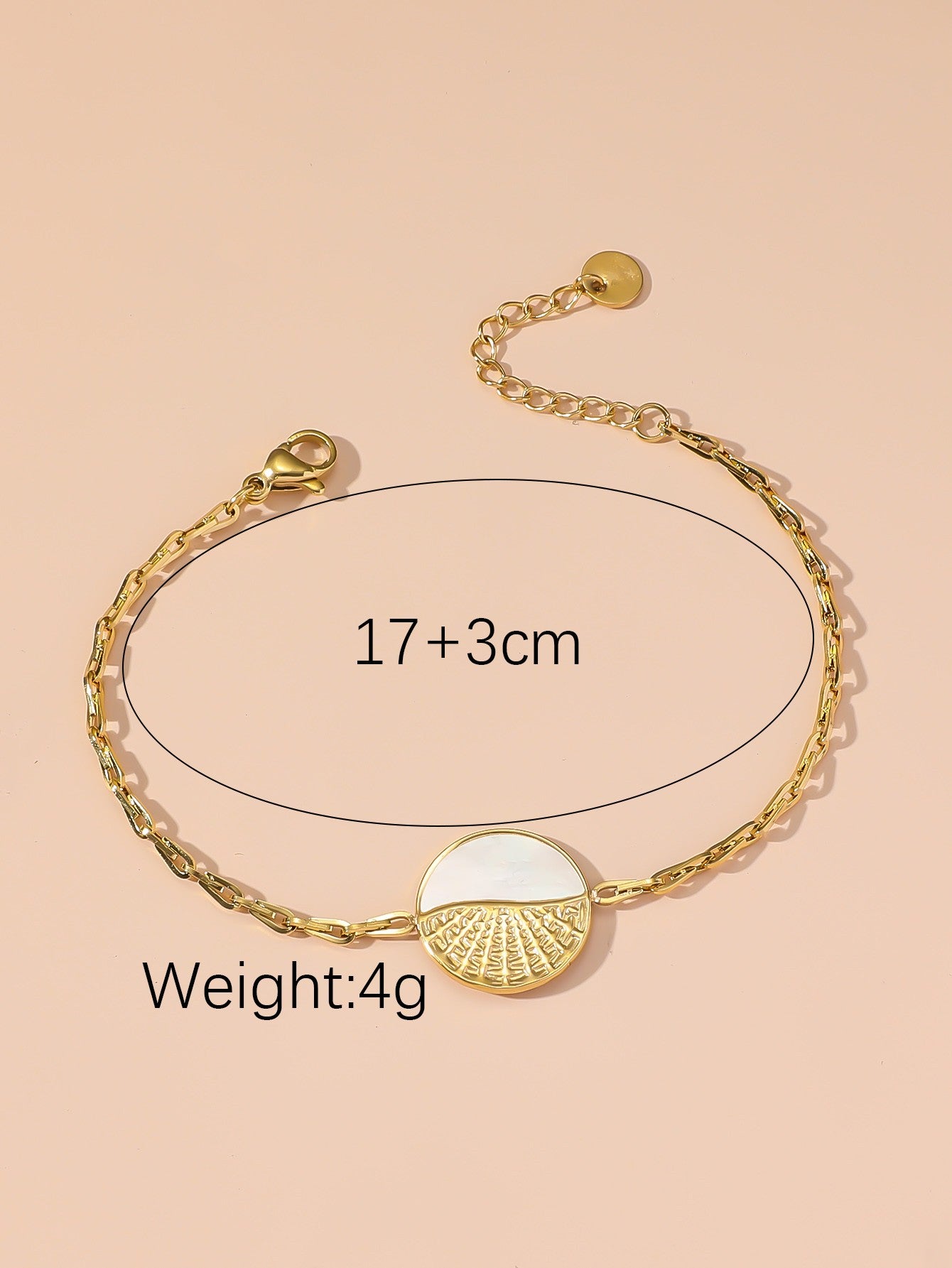 Bracelet Acier inoxydable  24BRA103
