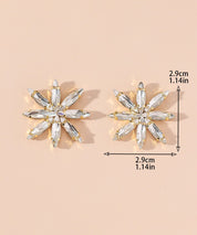 Boucles d'oreilles Clou 25AHBOL028