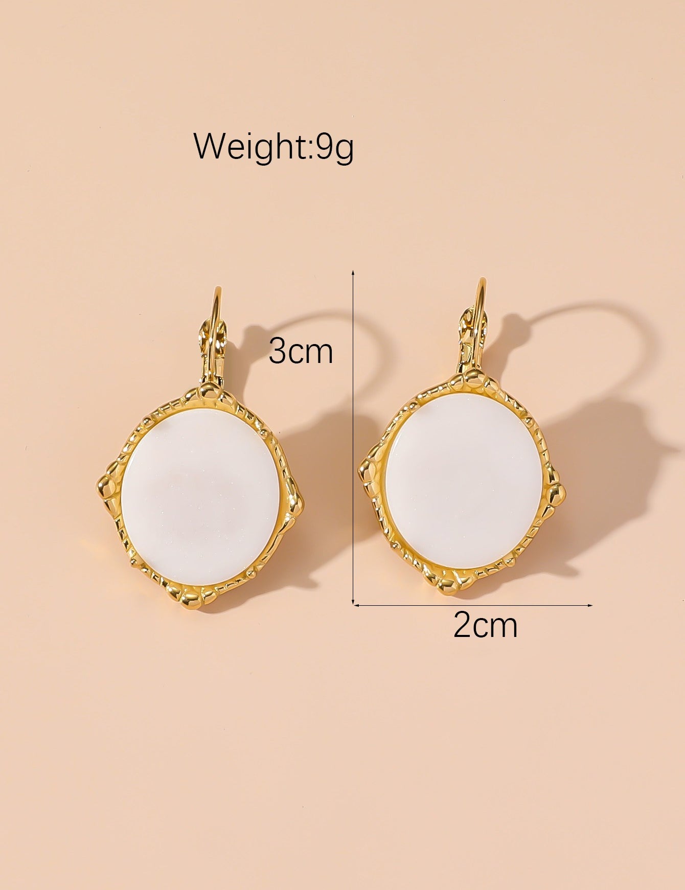 Boucles d'Oreilles Dormeuse en Acier Inoxydable 24BOA124