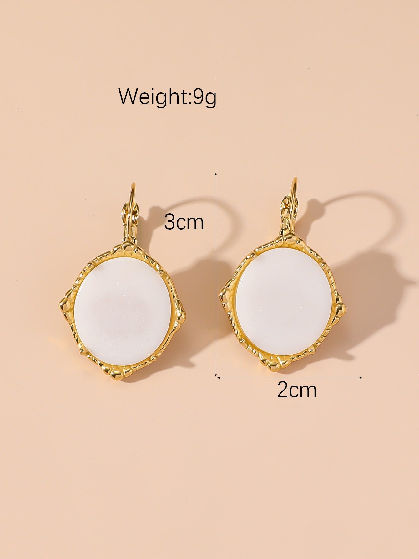 Boucles d'Oreilles Dormeuse en Acier Inoxydable 24BOA124