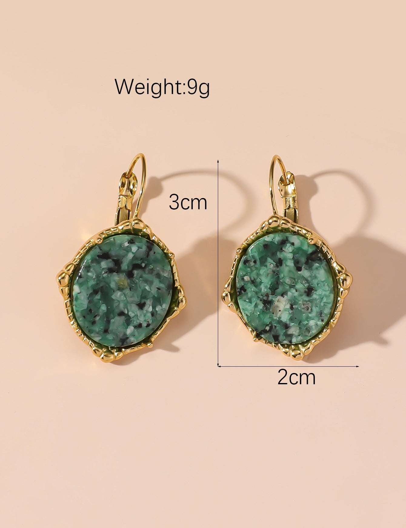 Boucles d'Oreilles Dormeuse en Acier Inoxydable 24BOA124