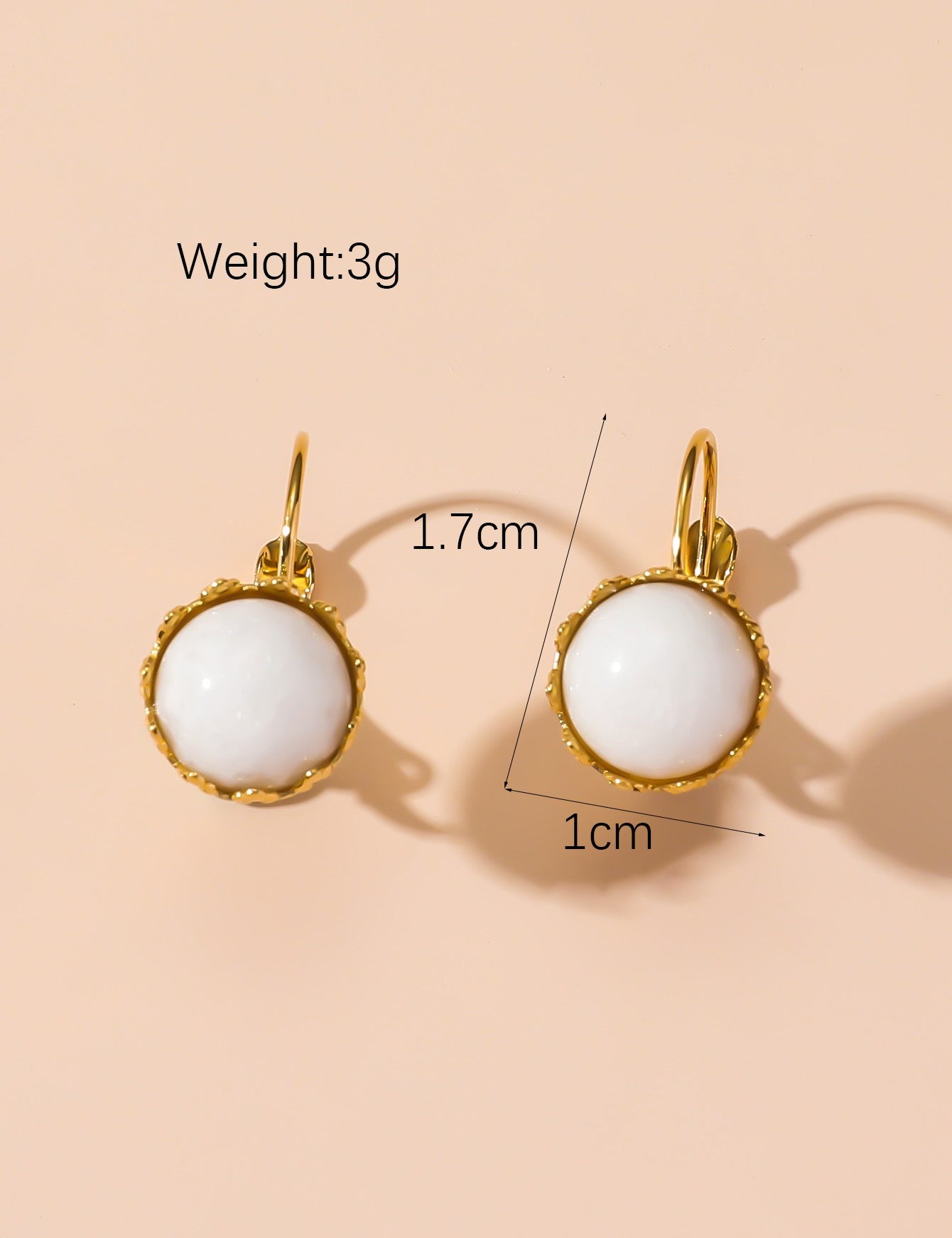 Boucles d'Oreilles Dormeuse en Acier Inoxydable 24BOA122