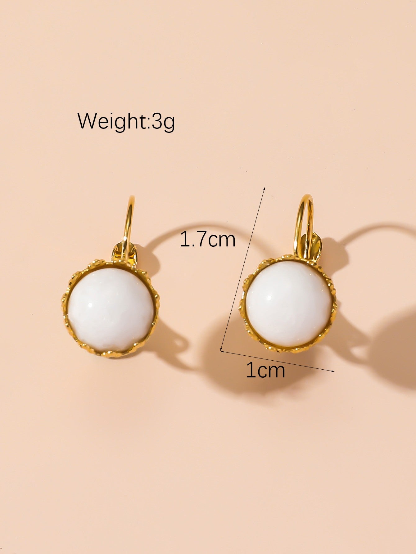 Boucles d'Oreilles Dormeuse en Acier Inoxydable 24BOA122